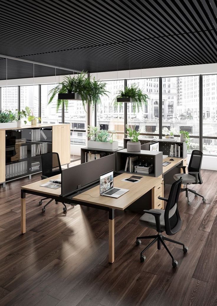 coworking negocios