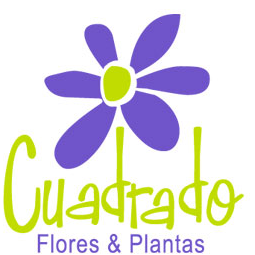 comercio